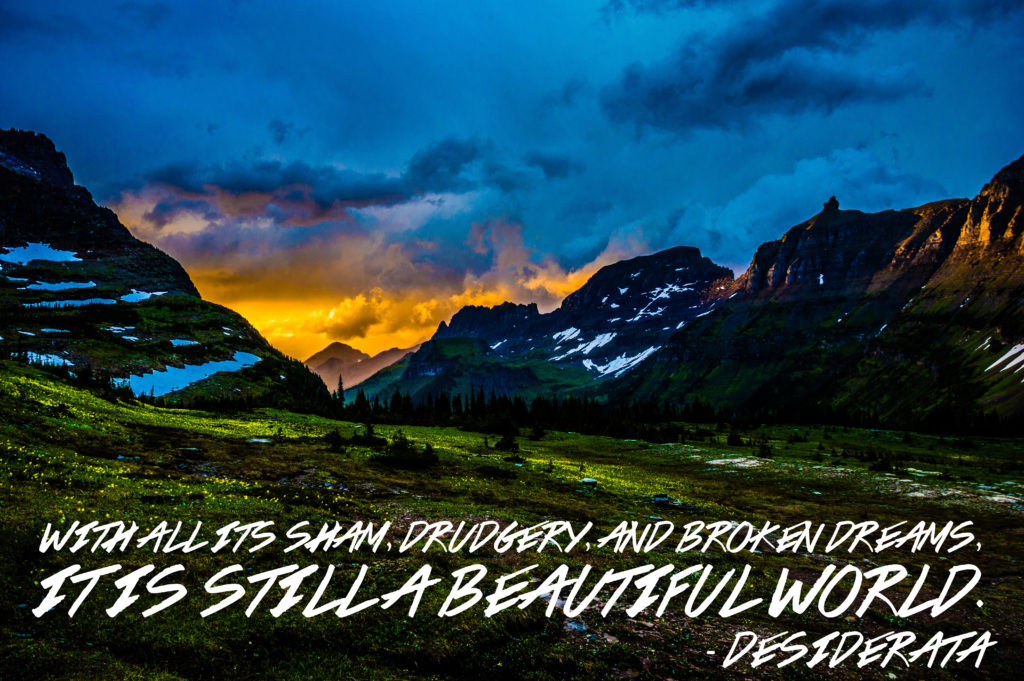 Desiderata Typography - 1