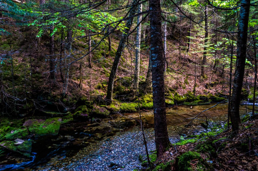 Atlantic Northeast 14