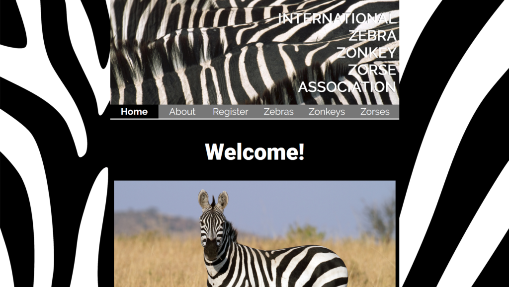 IZZZA Website Screenshot